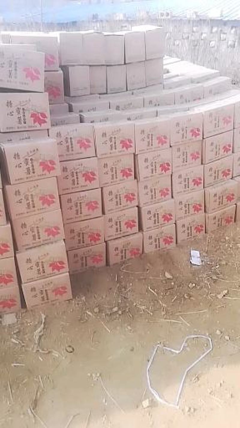 精品烟薯25龙薯九红薯干西瓜红口感粉糯香甜无丝