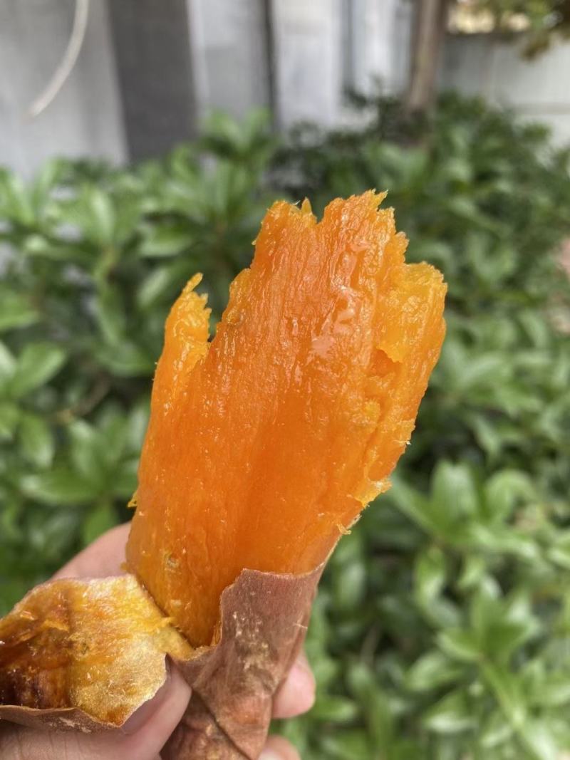 精品烟薯25龙薯九红薯干西瓜红口感粉糯香甜无丝