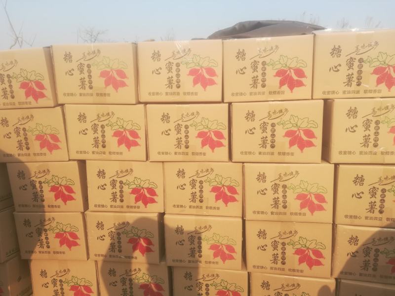 精品烟薯25龙薯九红薯干西瓜红口感粉糯香甜无丝