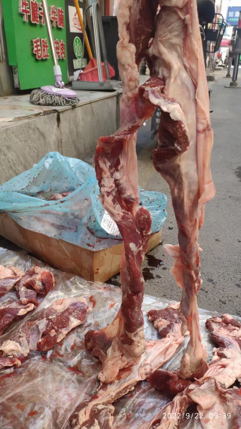 194母猪护心肉，色泽新鲜，价格便宜，性价比高，赶紧下单