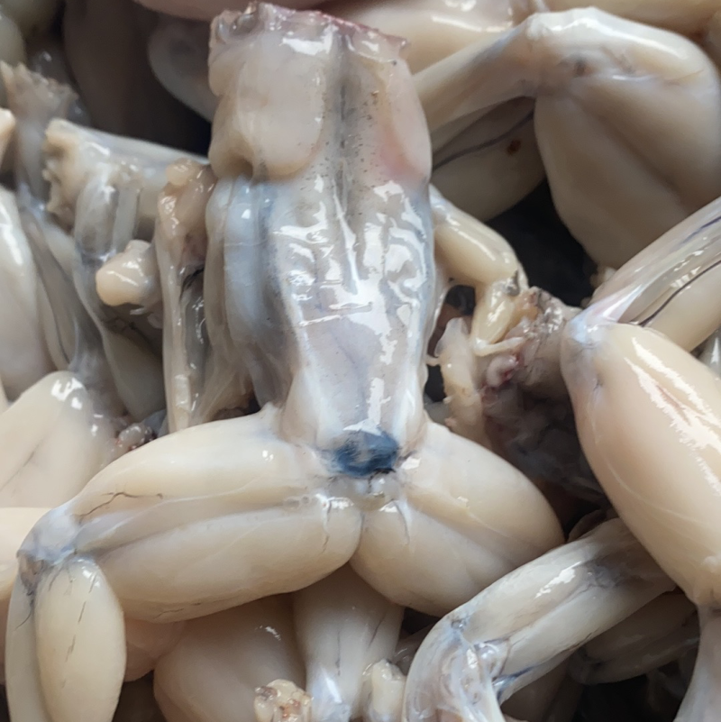 牛蛙肉活杀整只牛蛙，真空包装50到100克