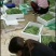 小金豆偏豆无筋豆紫豆白豆大量上市长年共货从精品到啦级