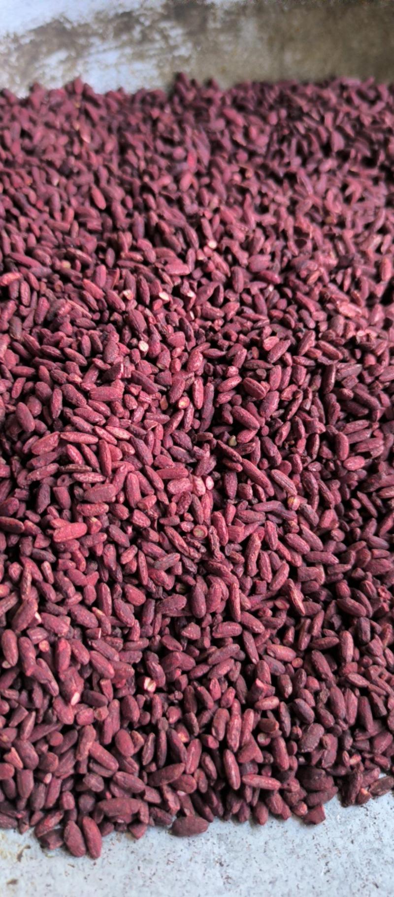 红曲米批发红曲米调料药用质量保证量大从优