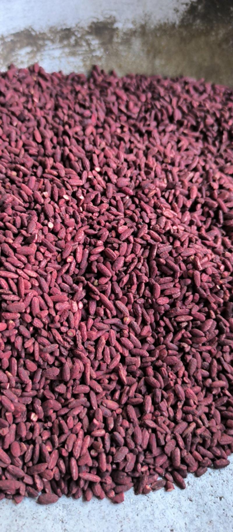 红曲米批发红曲米调料药用质量保证量大从优