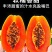 云南红心木瓜新鲜热带冰糖木瓜产地直发一件代发