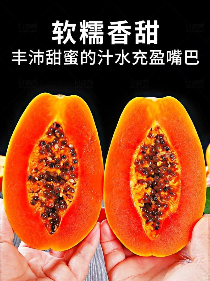 云南红心木瓜新鲜热带冰糖木瓜产地直发一件代发