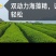 海藻精，腐植酸，海藻酸，活性酶加有机碳，生根剂，叶面肥
