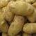 荷兰15优质土豆货源充足，万亩基地供货。