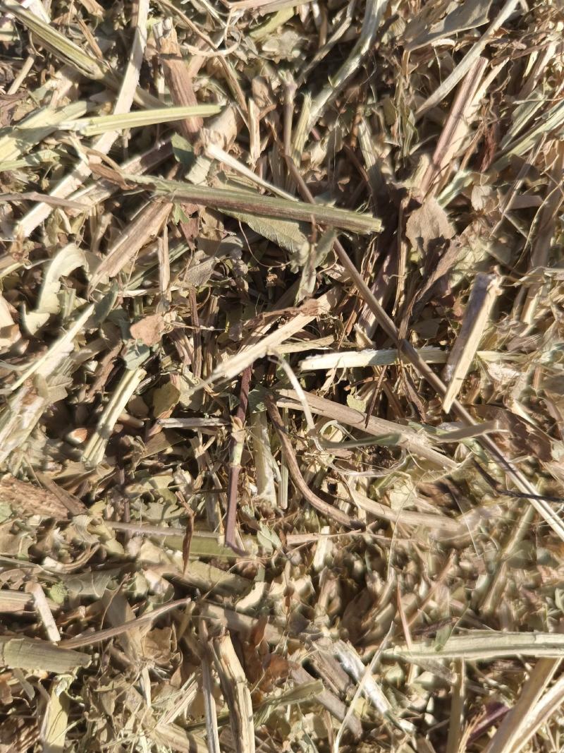 草场大量出售各种规格粉碎花生秧压缩包软包花生秧