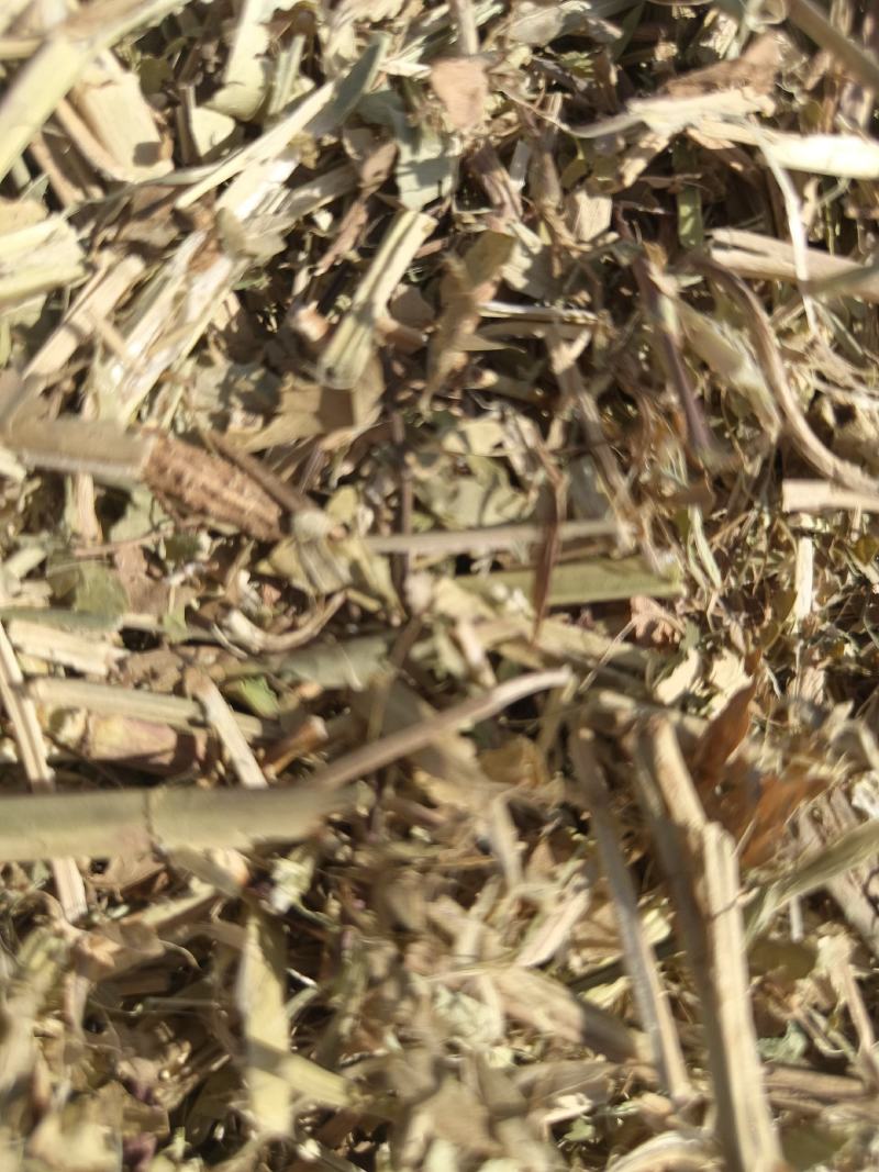 草场大量出售各种规格粉碎花生秧压缩包软包花生秧