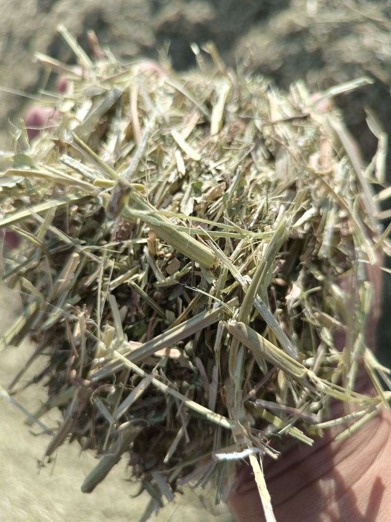 草场大量出售各种规格粉碎花生秧压缩包软包花生秧