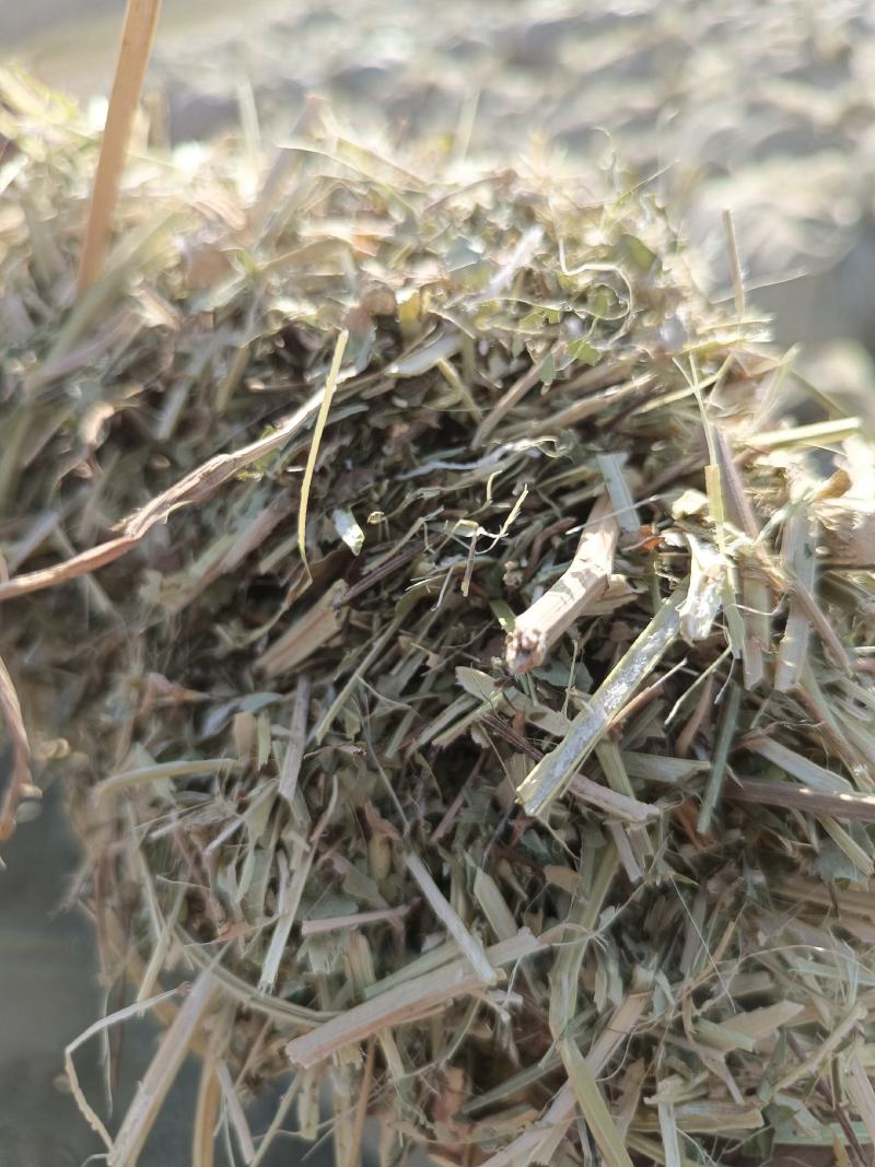 草场大量出售各种规格粉碎花生秧压缩包软包花生秧