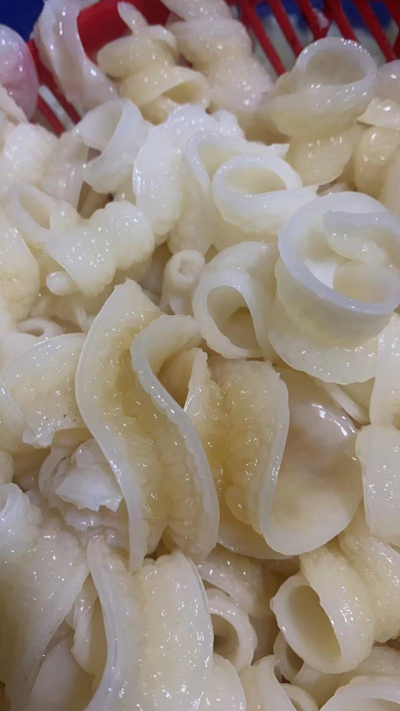 现货深海沙鱼肚，量大从优，欢迎新老顾客骚扰