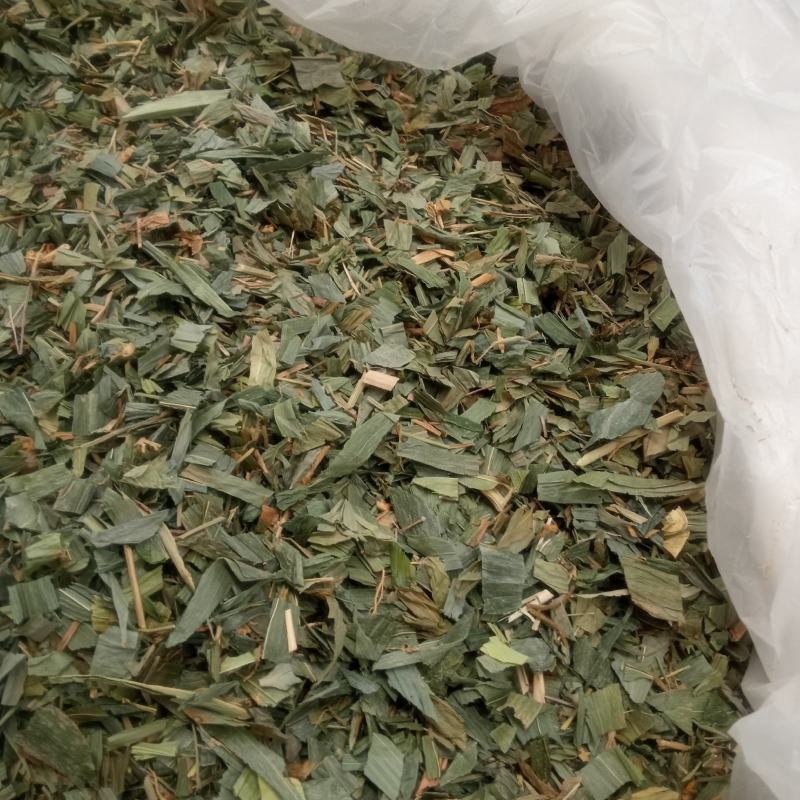 淡竹叶产地直供支持线上交易可搭配多品种采购大货联系