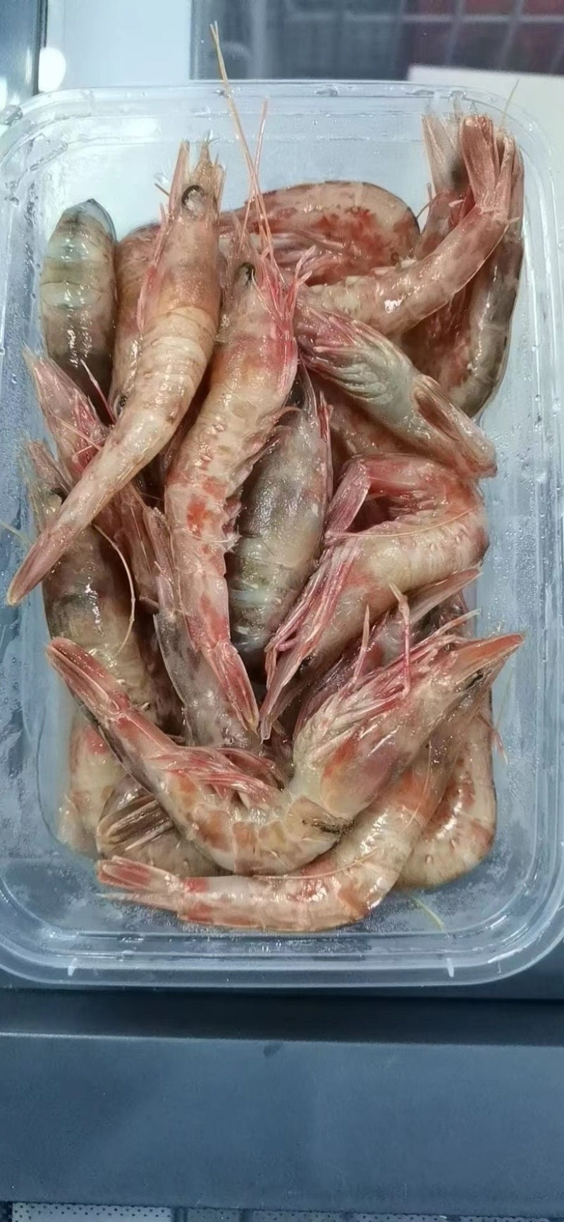 樱花虾厚壳虾海虾火焰虾玫瑰虾东山红虾樱花虾鲜活冷冻