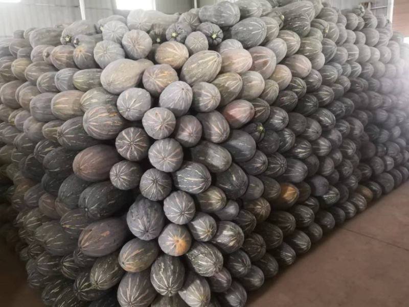 南瓜货源稳定量大从优质量保证有需要可电话咨询