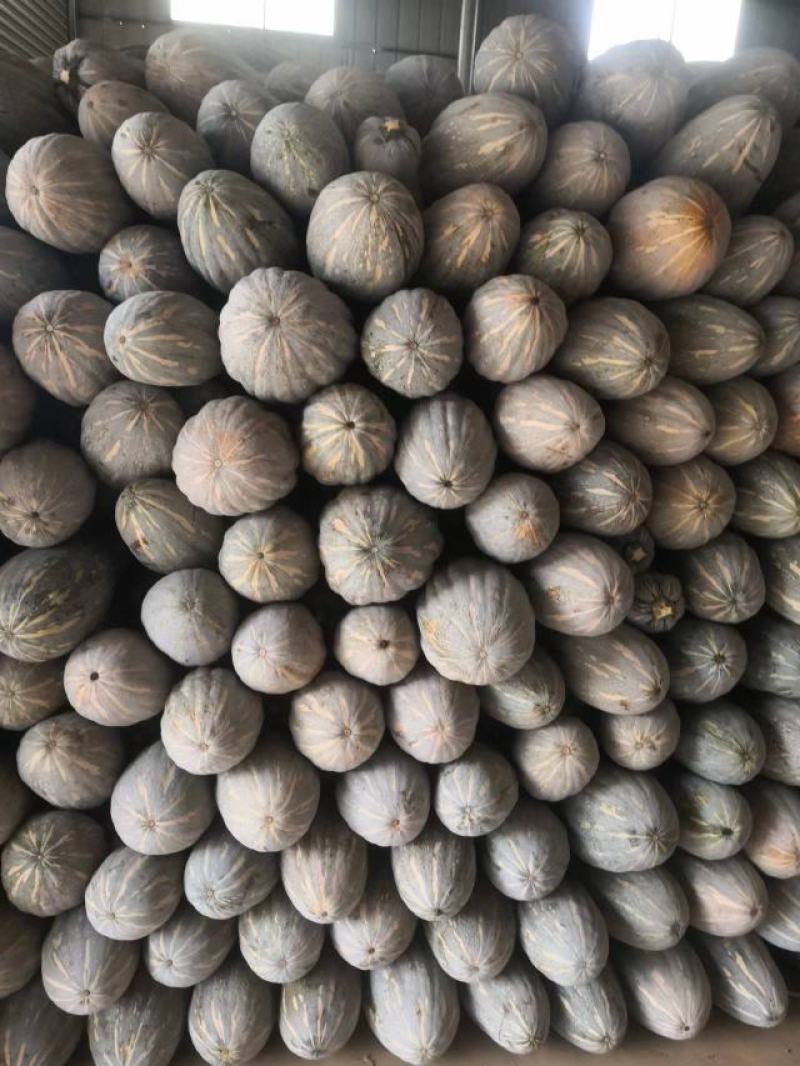 南瓜货源稳定量大从优质量保证有需要可电话咨询