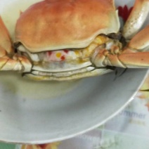 昆山阳澄湖大闸蟹4两