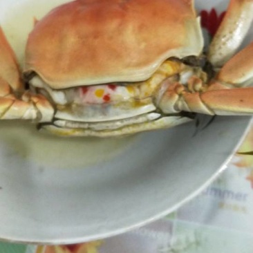 昆山阳澄湖大闸蟹4两