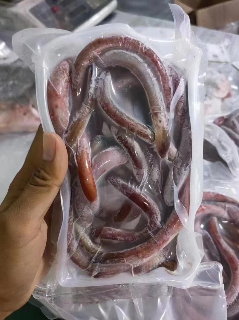 东山海鲜鳗鱼血鳗新鲜活冻一盒200克熬汤爆炒