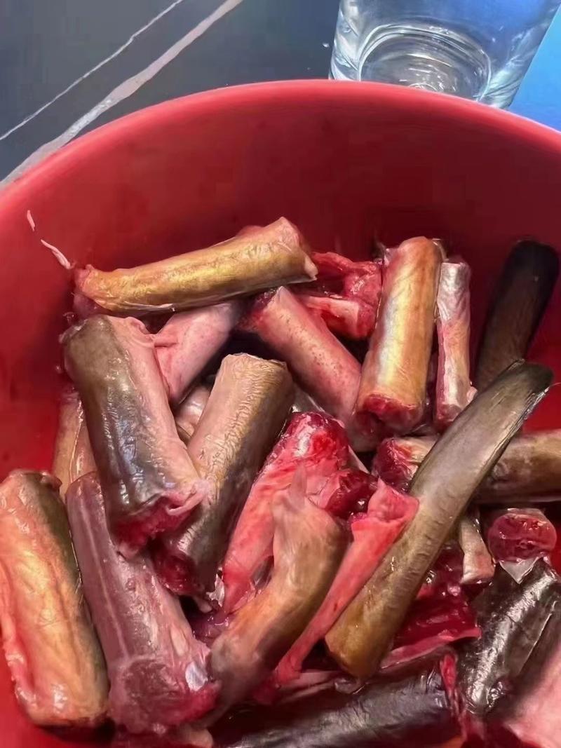 东山海鲜鳗鱼血鳗新鲜活冻一盒200克熬汤爆炒