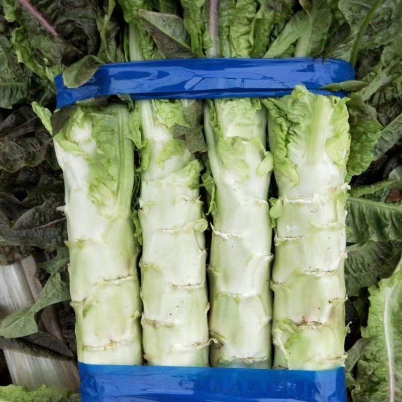 万亩基地，红杆，莴笋，精品，大量现货，皮薄肉厚，质量好，