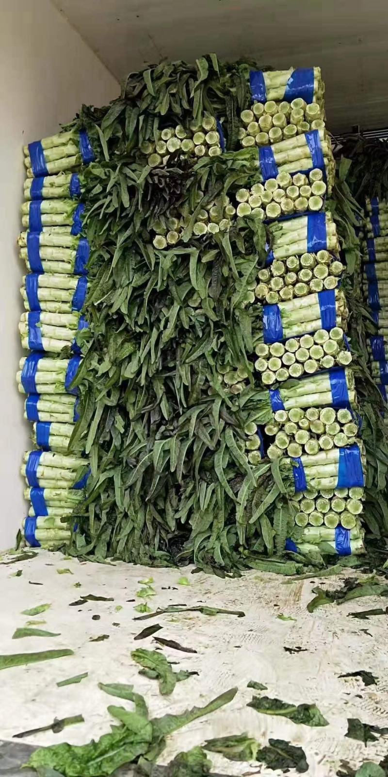 万亩基地，红杆，莴笋，精品，大量现货，皮薄肉厚，质量好，