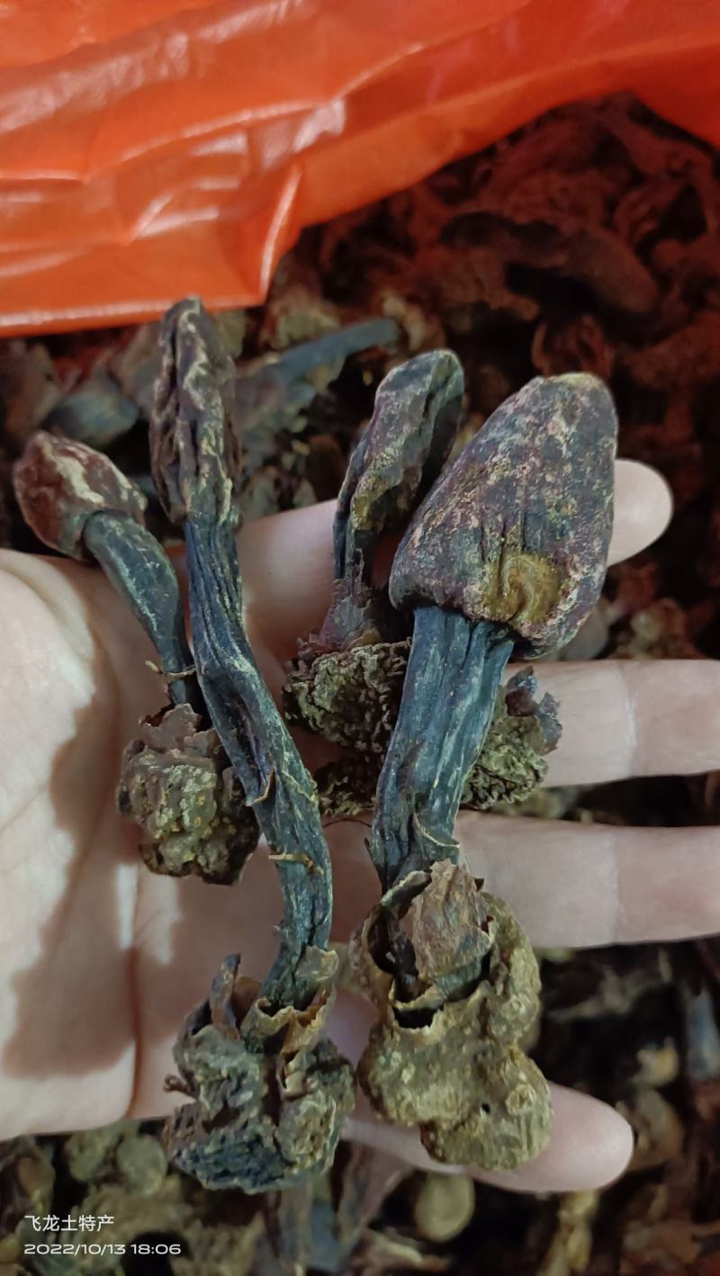 泡酒料(金枪不倒泡酒料)大量批发一手货源