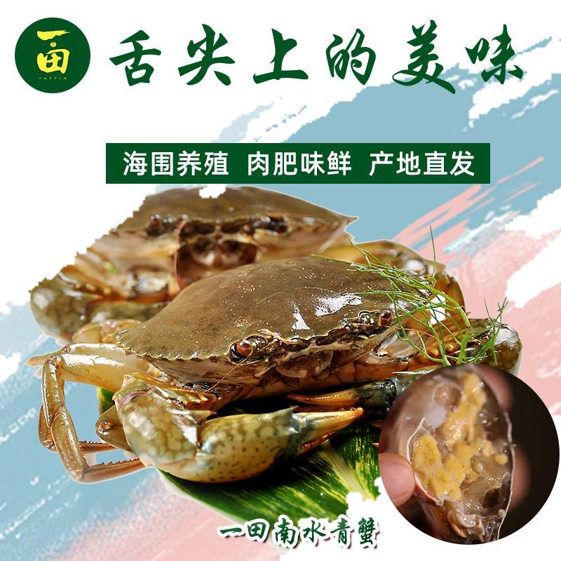 一田·南水青蟹礼盒
