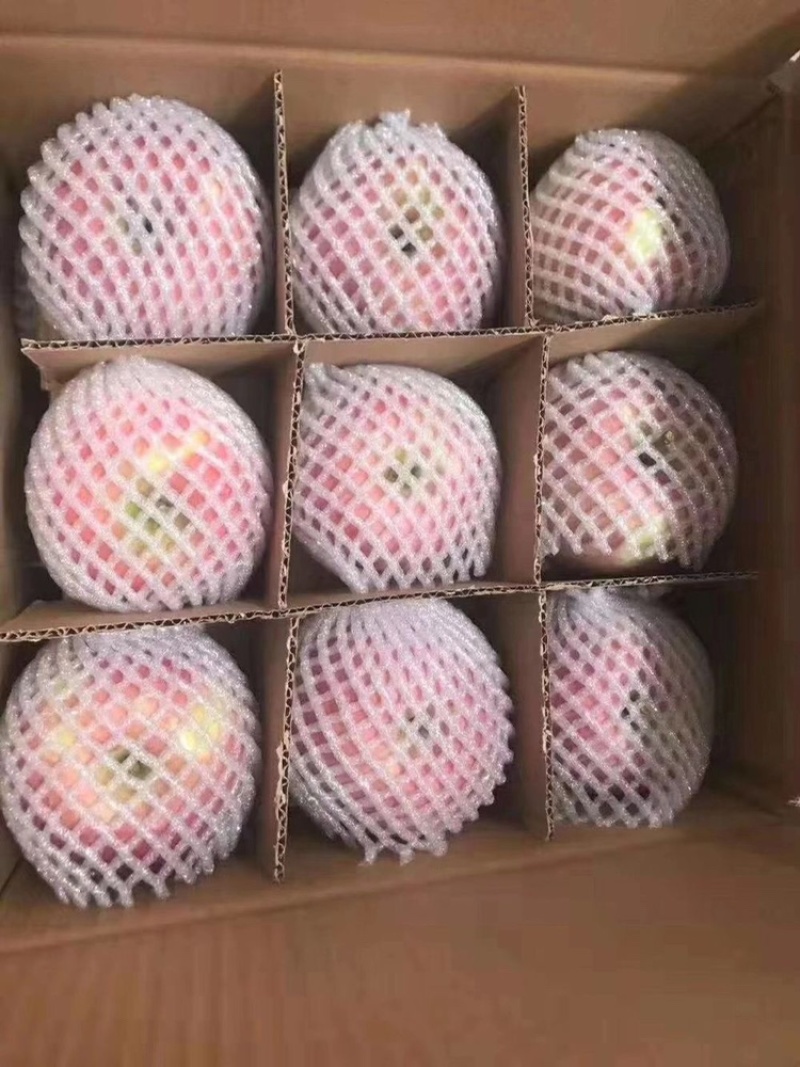 运城苹果（高品质、高颜值）