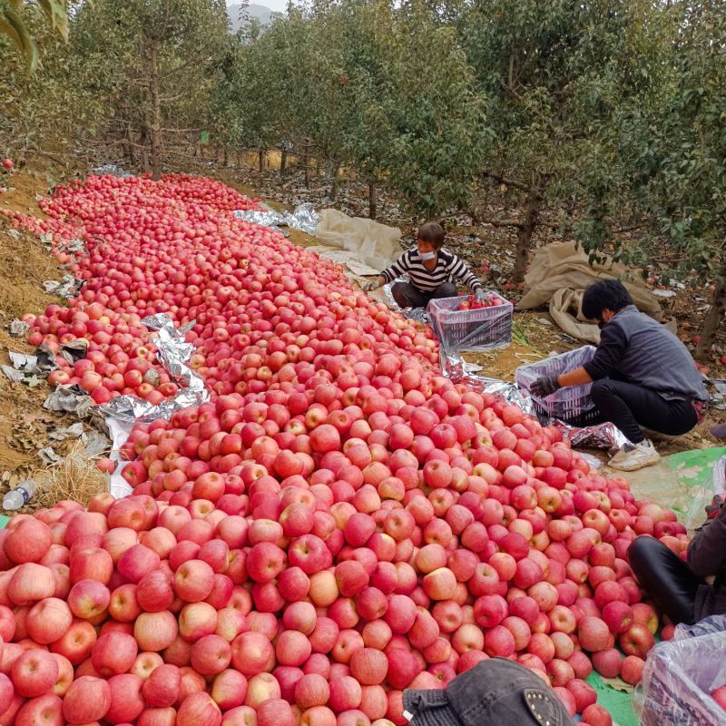 山地富士，寒富士