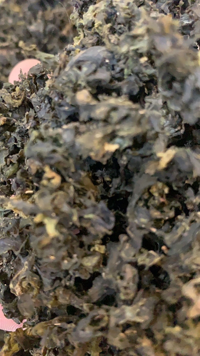 免洗地皮菜