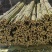 精品金竹，货源充足，冬瓜架，豆角，西红柿质量好可以用2到