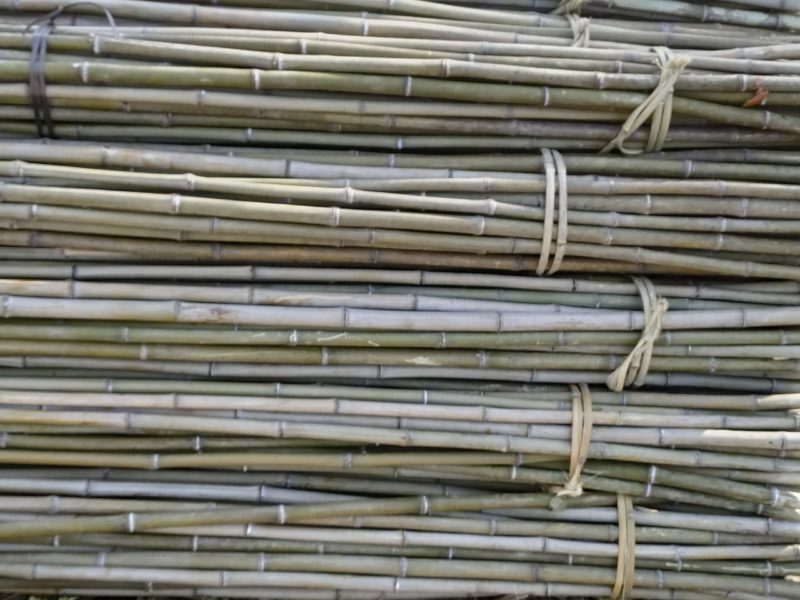 精品金竹，货源充足，冬瓜架，豆角，西红柿质量好可以用2到