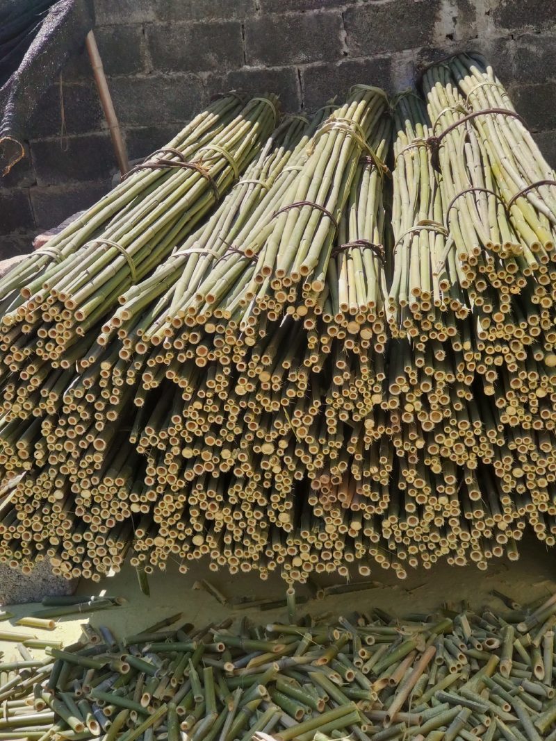 精品金竹，货源充足，冬瓜架，豆角，西红柿质量好可以用2到