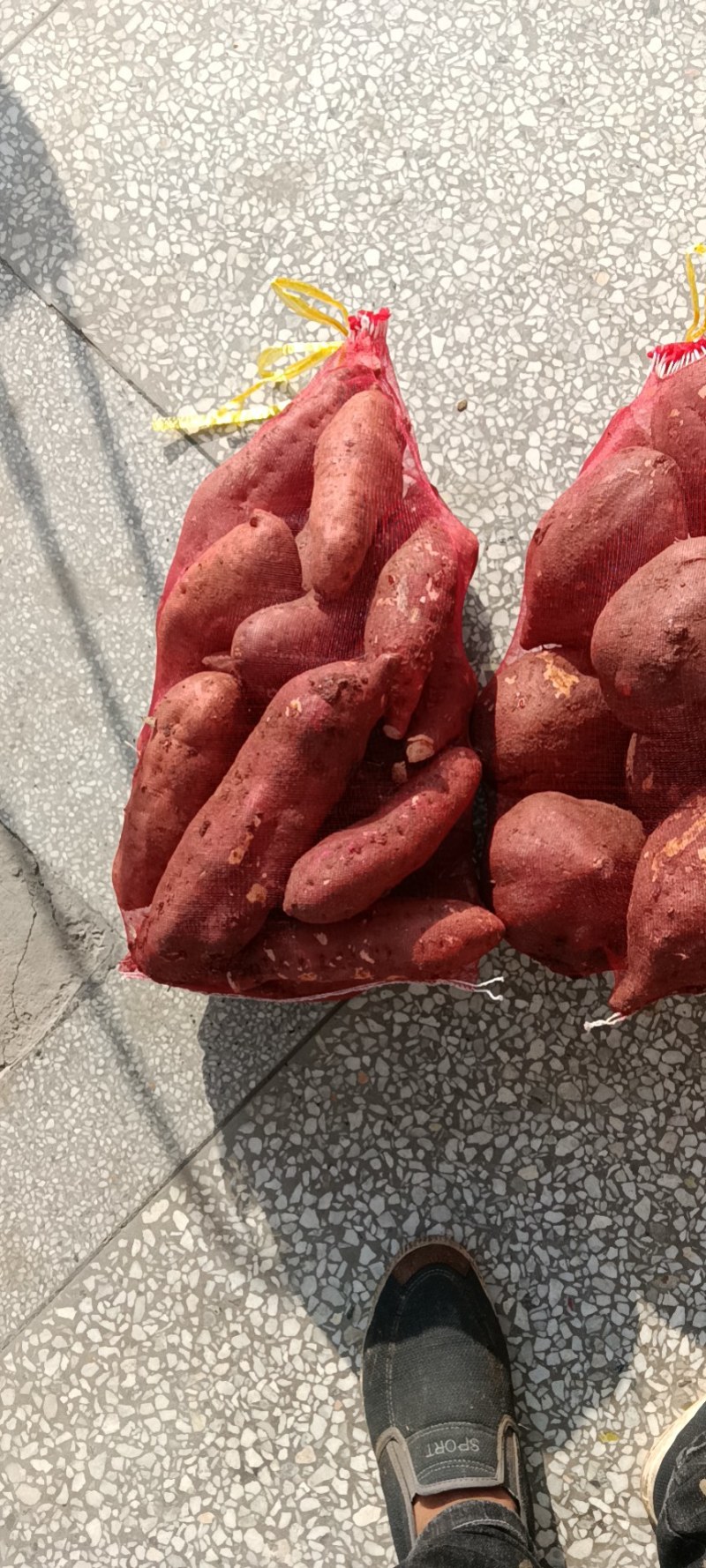 紅薯，诚信经营，信誉第一，代发，代收，全国接单