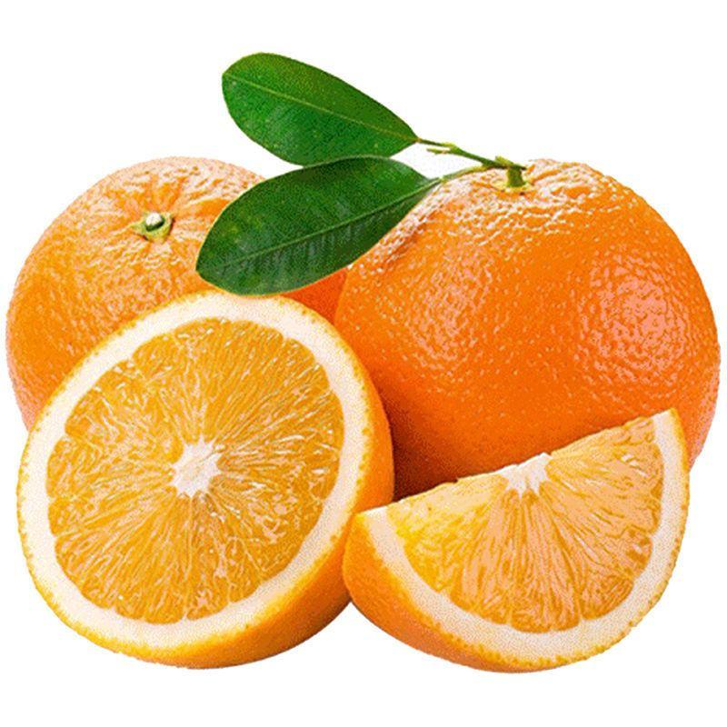 【精品推荐】伦晚脐橙新鲜橙子果农精挑细选欢迎全国客户订购