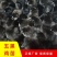 五黑一绿壳鸡苗高产蛋鸡苗年产蛋320枚满1000送100