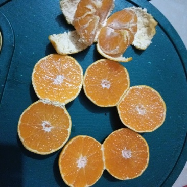 蜜桔正在热卖中