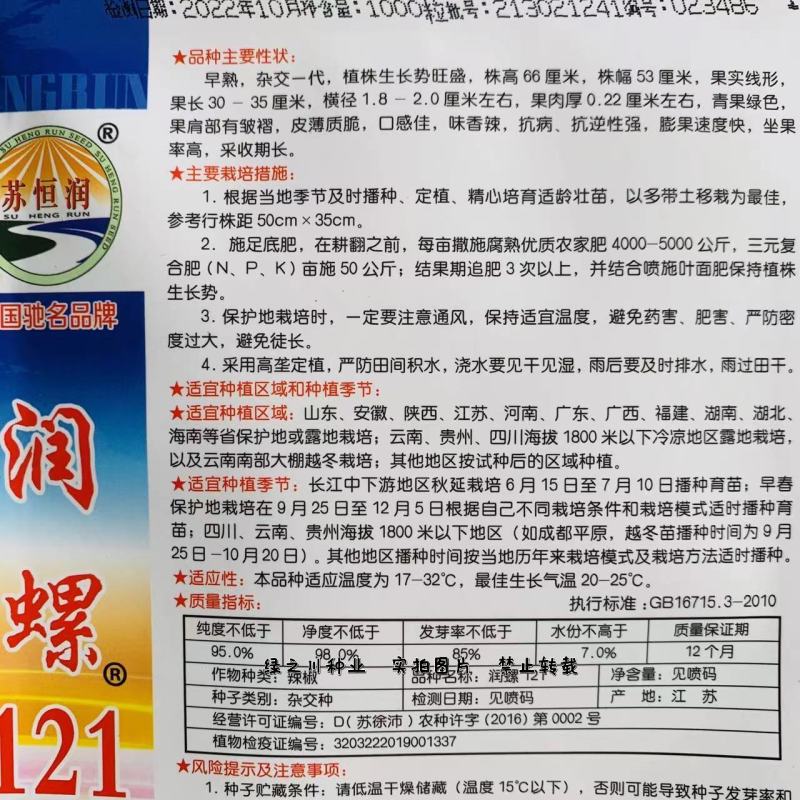 润螺121特长螺丝线椒种子香辣皮薄质脆，早熟基地专用辣椒