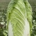 玲珑黄大黄心白菜