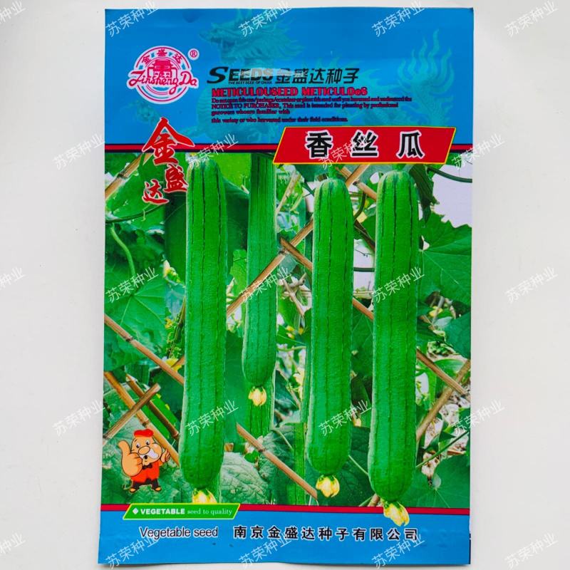金盛达香丝瓜种子四季播早熟座果强长条形味香适应性好抗病高