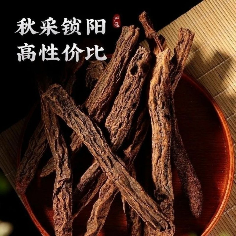 金锁阳正宗内蒙古阿拉善整根切片锁阳配肉苁蓉滋补金锁阳包邮
