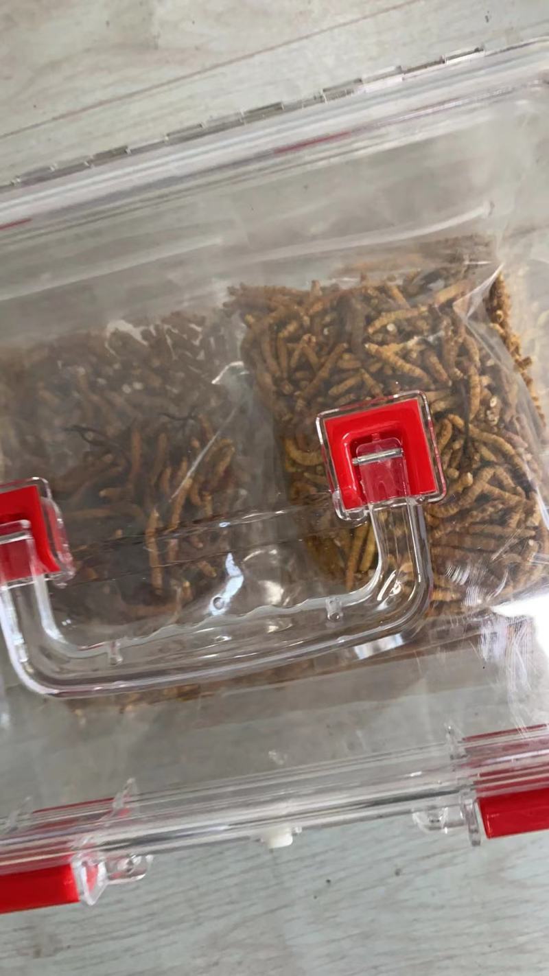 冬虫夏草是一个营养价值很高的药食同源的产品，我们是中药材