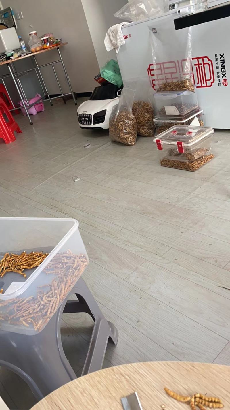 冬虫夏草是一个营养价值很高的药食同源的产品，我们是中药材