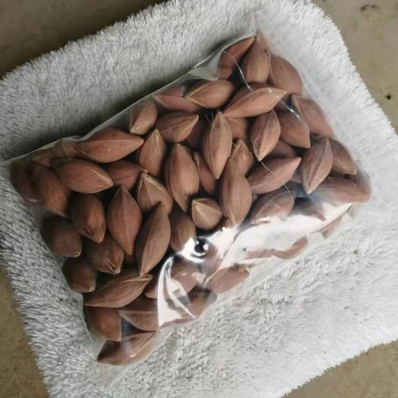 广东特产百年老树现摘新上市新鲜乌榄核30元每斤！！靓货！