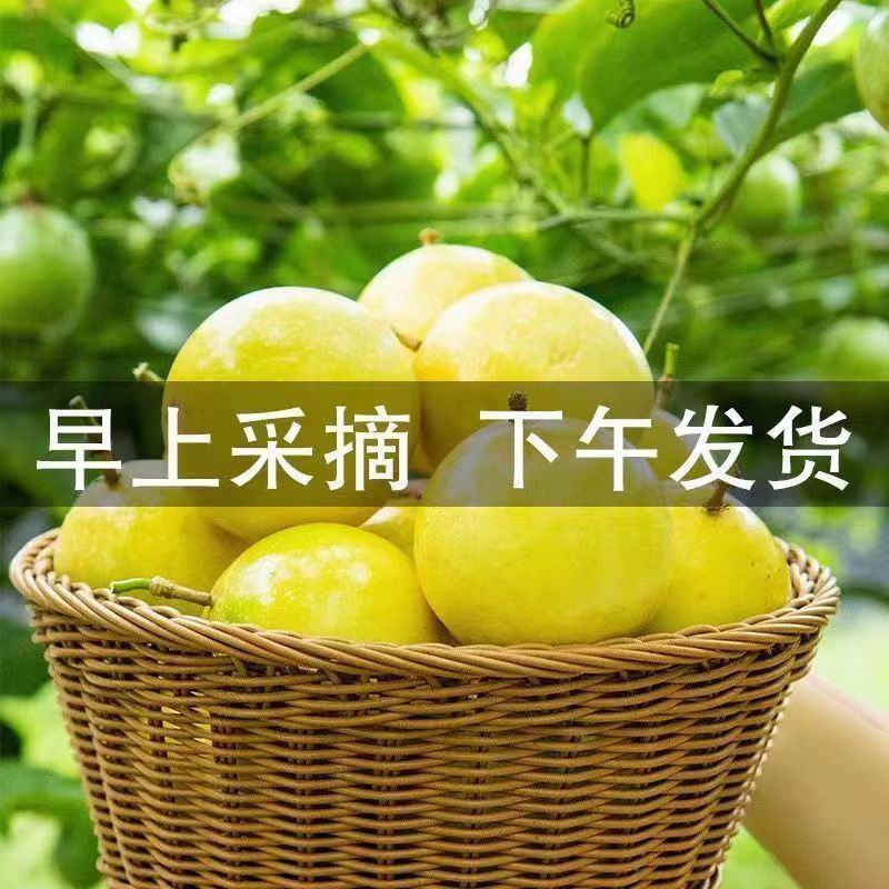 【一件代发】黄金百香果批发电商微商一件代发货源充足