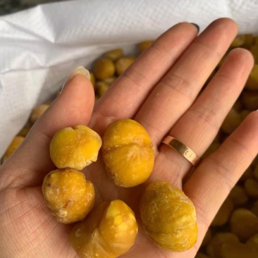 百年老树黄瓤去皮板栗仁