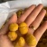 百年老树黄瓤去皮板栗仁