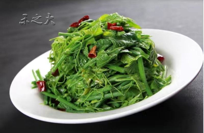 南瓜苗种子专吃藤茎嫩叶四季蔬菜种子阳台盆栽特色蔬菜子